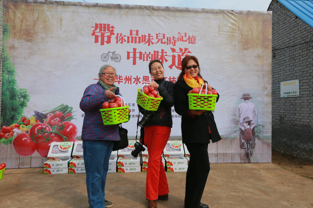 美食品鑒團華州區(qū)蔬菜種植基地里享受采摘樂趣