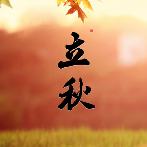 新華網(wǎng)陜西頻道